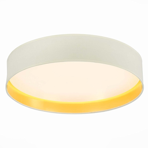 Потолочный светодиодный светильник Evoluce Brescia SLE300552-01 изображение 2 Потолочный светодиодный светильник Evoluce Brescia SLE300552-01 Фото № 2