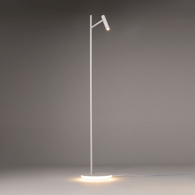 Торшер Maytoni Estudo Z010FL-L8W3K Фото № 9