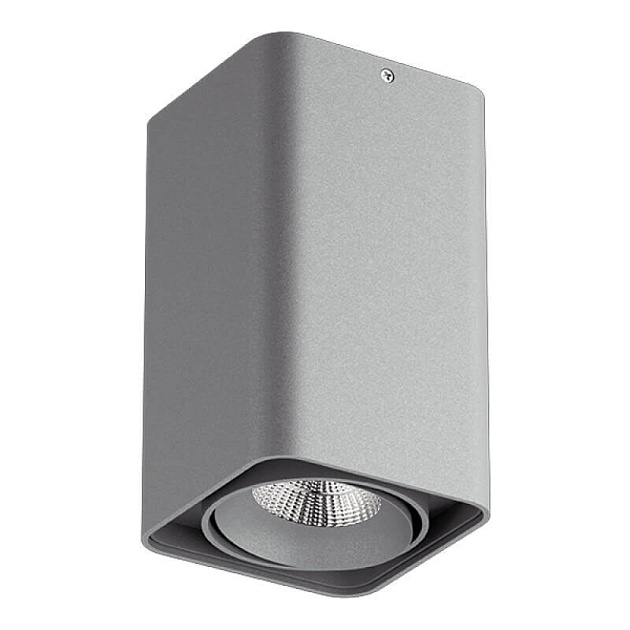 Потолочный светильник Lightstar Monocco 212539 Фото № 1