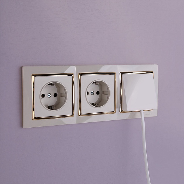 Розетка с заземлением Werkel слоновая кость W1171003 4690389155741 изображение 7 Розетка с заземлением Werkel слоновая кость W1171003 4690389155741 Фото № 7