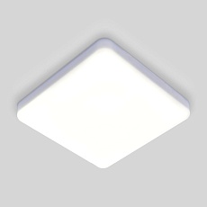 Потолочный светодиодный светильник Elektrostandard DLS043 10W 4200K a047941