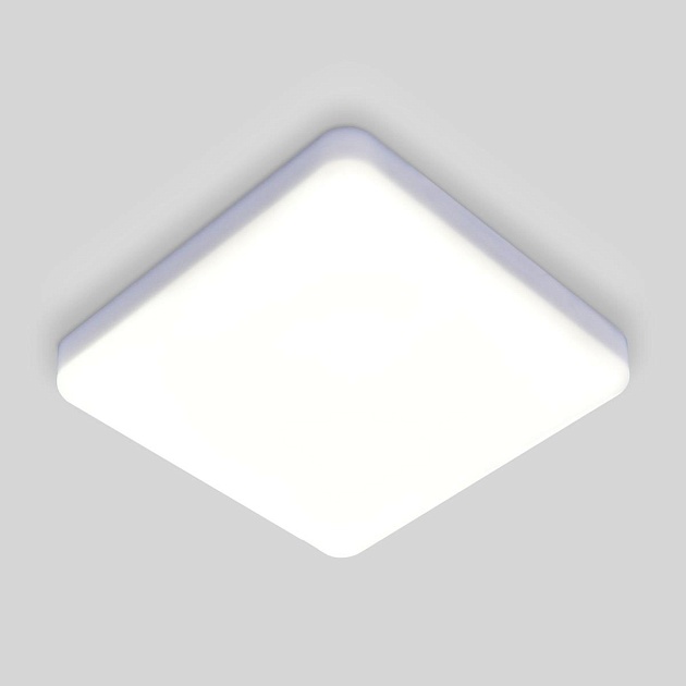 Потолочный светодиодный светильник Elektrostandard DLS043 10W 4200K a047941 Фото № 1