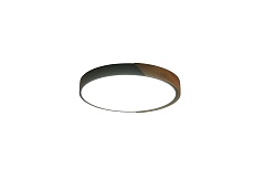 Потолочный светильник Zortes ALBERRO ZRS.01237.90 3