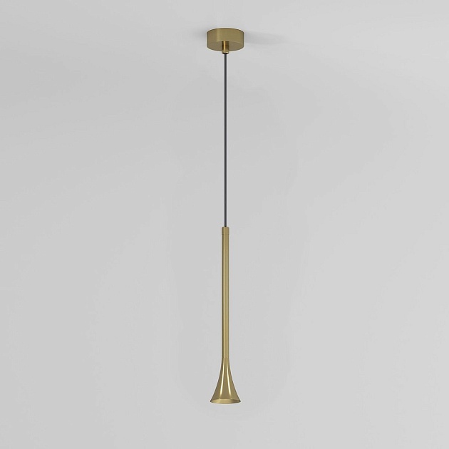 Подвесной светодиодный светильник Elektrostandard Hall 50314 LED a068820 Фото № 4