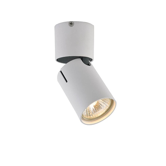 Спот Vele Luce Carrisi VL8061S21 Фото № 1