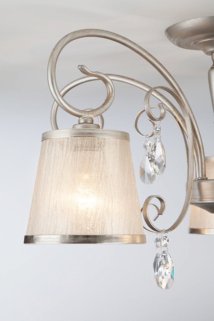 Потолочная люстра Eurosvet 60065/5 серебро изображение 3 Потолочная люстра Eurosvet 60065/5 серебро Фото № 3