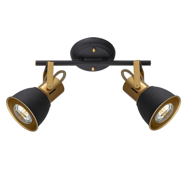 Спот Arte Lamp Jovi A1677PL-2GO Фото № 1