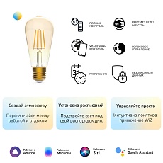 Лампа светодиодная диммируемая филаментная Gauss Smart Home Filament E27 6,5W 2000-5500K золотистая 1310112 4