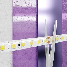 Светодиодная влагозащищенная лента Maytoni Technical 9,6W/m 120LED/m 2835SMD дневной белый 5M 10146 1
