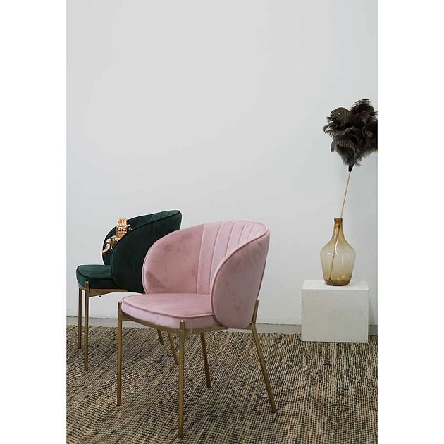 Кухонный стул Bergenson Bjorn Coral BEAR-CO10815 Фото № 14