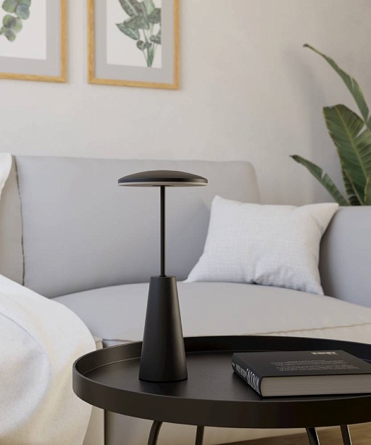 Уличный светодиодный светильник Eglo Piccola 900925 Фото № 3