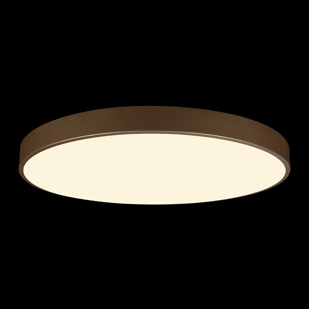 Потолочный светодиодный светильник Loft IT Flims 10228/B Фото № 4