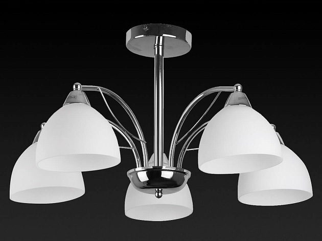 Потолочная люстра Toplight Celia TL3610X-05CH Фото № 3