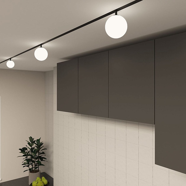 Трековый светодиодный светильник Denkirs Smart Moon DK8050-BK изображение 5 Трековый светодиодный светильник Denkirs Smart Moon DK8050-BK Фото № 5