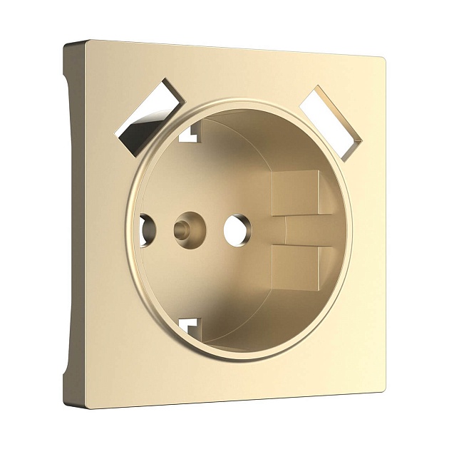 Накладка для розетки USB Werkel шампань W1179511 4690389157462 Фото № 1