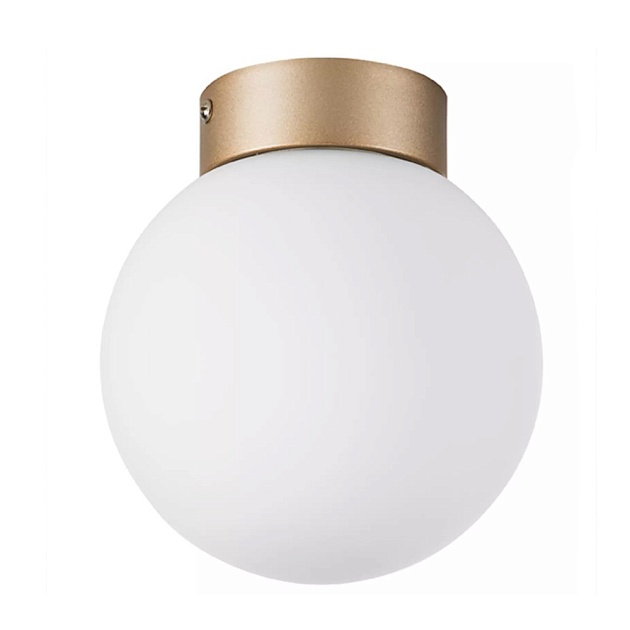 Настенно-потолочный светильник Lightstar Globo 812013 Фото № 1