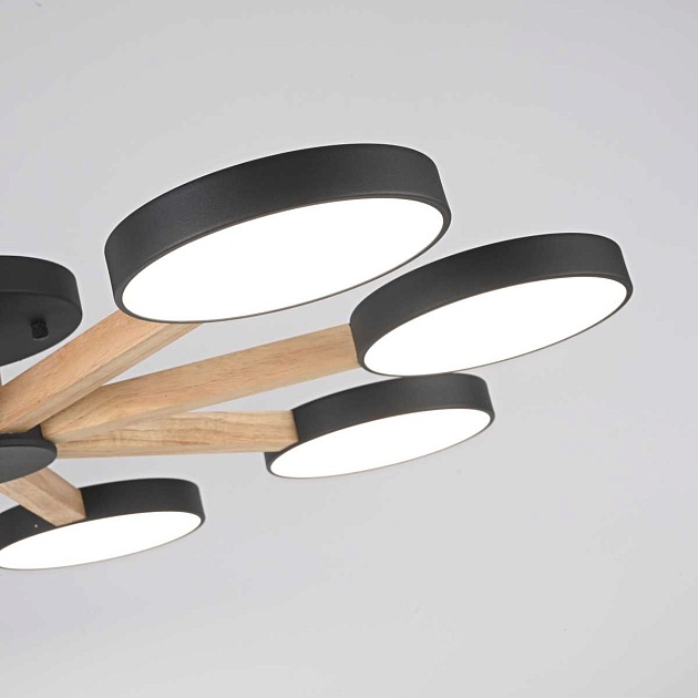 Люстра Imperium Loft TURNA01 178341-26 Фото № 9