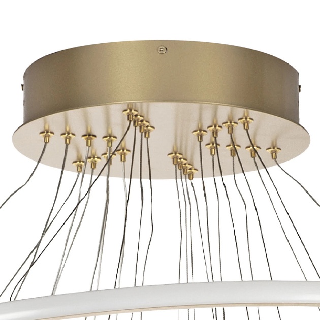 Подвесная светодиодная люстра Lightstar Rotonda 736483 изображение 5 Подвесная светодиодная люстра Lightstar Rotonda 736483 Фото № 5
