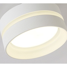 Потолочный светильник Ambrella light TN5419 4