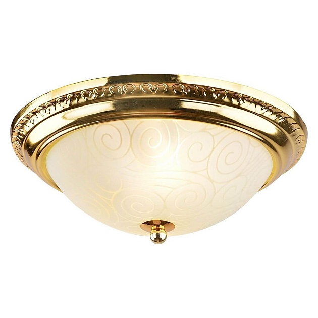 Потолочный светильник Arte Lamp 28 A3013PL-2GO Фото № 2