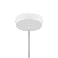 Подвесной светильник Freya Cottage FR5405PL-01W1 1