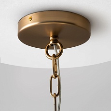 Подвесная люстра Maytoni Aster MOD007PL-10G 1