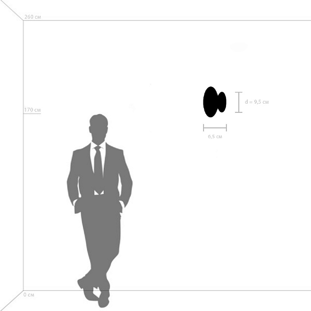 Настенный светодиодный светильник Lightstar Celesta 809106 Фото № 4