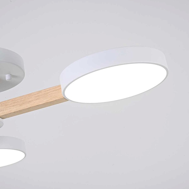 Потолочная люстра Imperium Loft Turna 102157-26 Фото № 9