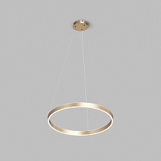 Подвесной светодиодный светильник Denkirs Raydia DK6273-SG
