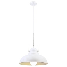 Подвесной светильник Arte Lamp Martin A5213SP-1WG 2