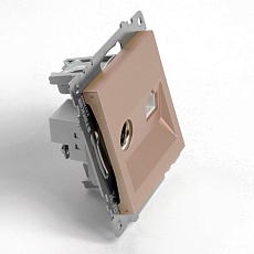 Розетка телевизионная TV + компьютерная RJ-45 Stekker Катрин шампань GLS00-7106-02 49184 3
