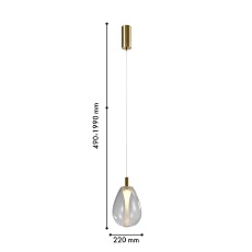 Подвесной светодиодный светильник Favourite Hopper 4257-2P 1