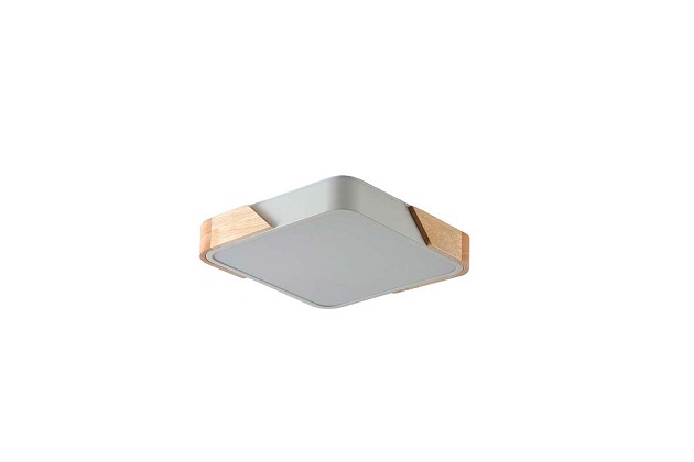 Потолочный светильник Zortes ALBERRO ZRS.01285.36 Фото № 2