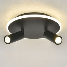 Потолочный светодиодный светильник Escada 20046SMA/02LED BK 1