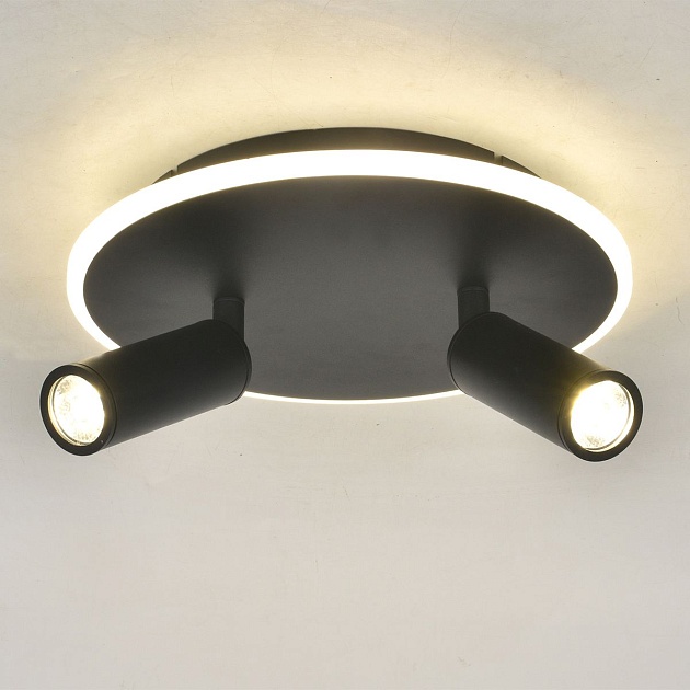 Потолочный светодиодный светильник Escada 20046SMA/02LED BK изображение 2 Потолочный светодиодный светильник Escada 20046SMA/02LED BK Фото № 2