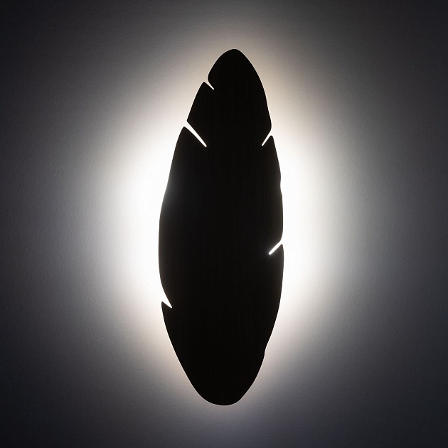 Настенный светильник TK Lighting 5565 Hoja Фото № 3