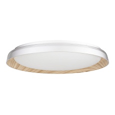 Потолочный светодиодный светильник Citilux Mega CL752452G 3