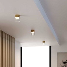 Потолочный светодиодный светильник Elektrostandard Lumen 25047/LED 10W 4000К латунь/прозрачный a064707 1