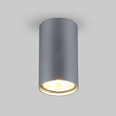 Потолочный светильник Elektrostandard 1081 5257 GU10 SL серебро a037714