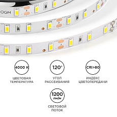 Светодиодная лента OGM 9,6W/m 60LED/m 5630SMD дневной белый 5M LSE-289 1