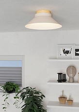 Потолочный светильник Eglo Moharras 900736 2