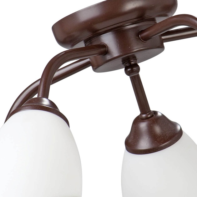 Потолочная люстра Vitaluce V3252/5PL изображение 2 Потолочная люстра Vitaluce V3252/5PL Фото № 2