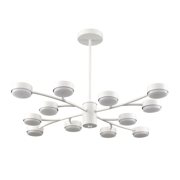 Люстра Lumion TORINA 8265/12 изображение 1 Люстра Lumion TORINA 8265/12 Фото № 1