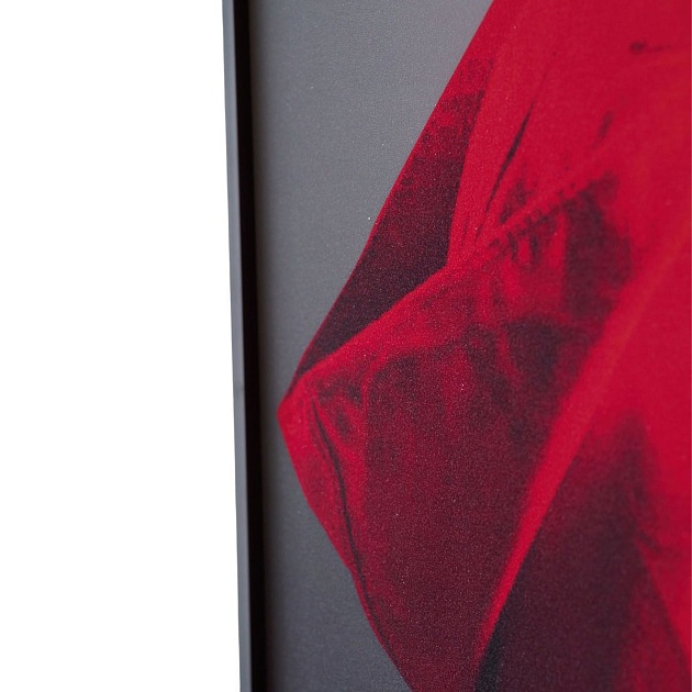 Картина Lumina Deco FP Red Hat 80-120 Фото № 5