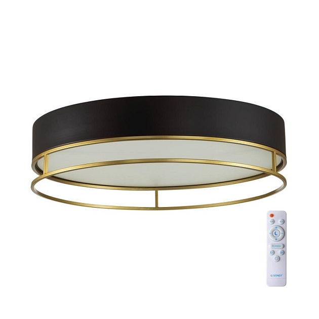 Потолочный светодиодный светильник Sonex Avra Lofty 7723/65L Фото № 1