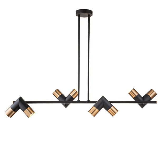 Подвесная люстра Indigo Doppio 11036/8R Black V000453 изображение 1 Подвесная люстра Indigo Doppio 11036/8R Black V000453 Фото № 1