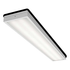 Потолочный светильник WOLTA STD ДПО13-36-101-5К