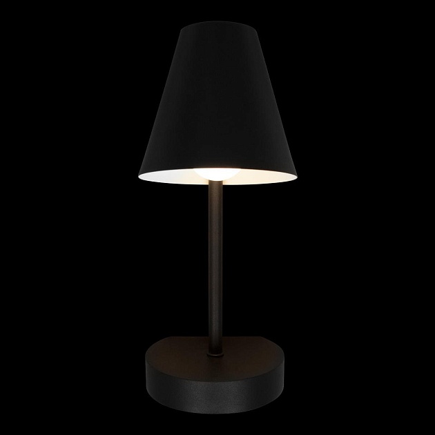 Бра Loft IT Shelf 10216/1W Black Фото № 4