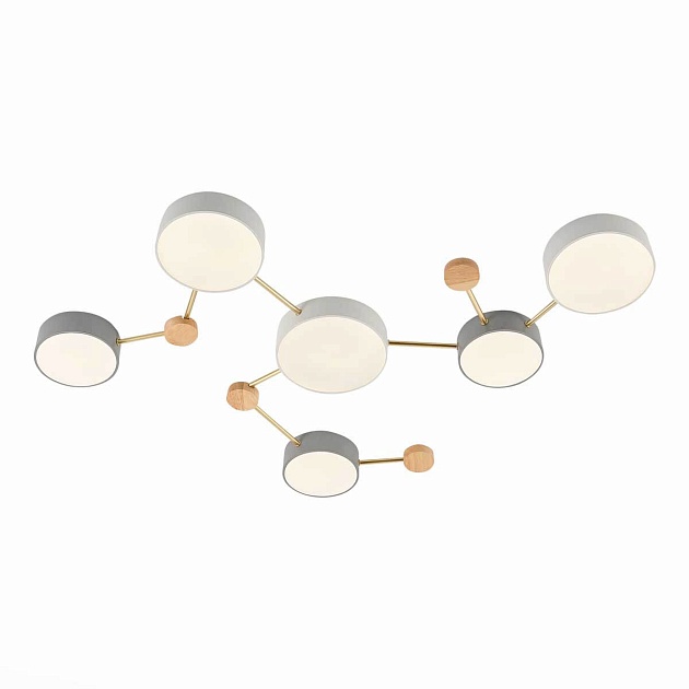 Потолочный светильник Evoluce DOSSENA SLE600102-06 Фото № 4