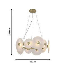 Подвесная светодиодная люстра F-Promo Arctium 4605-8P 1